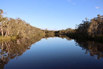 Reflections in the Noosa Everglades, Sunshine Coast, Queensland, Australia.