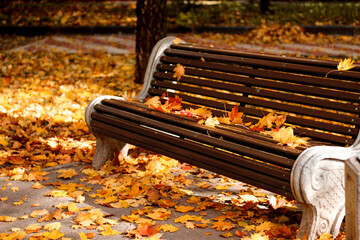 A bench with bright golden and colorful leaves on an autumn sunny day in the par