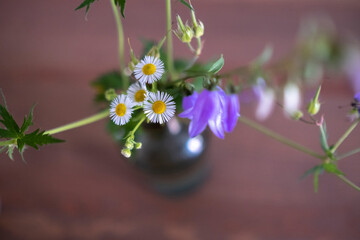 Naklejka na ściany i meble bouquet of wild flowers in a vase, medicinal chamomile