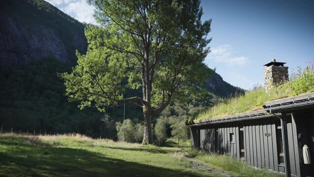A swing on the old tall tree. A sod-roof house to the right. Slow-motion, pan forward.