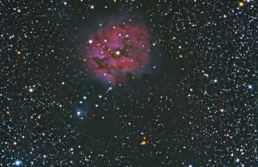 The Cocoon nebula, IC5146 a  reflection and emission nebula in Cygnus. Night sky chart and  stars background  © Franco Tognarini
