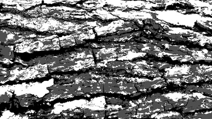 Vector grunge texture. Black and white composition. Old cracked, peeling wall of an old house Vector illustration. EPS10