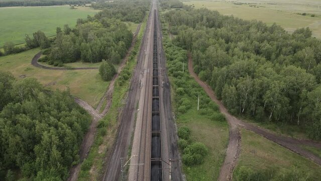 A train loaded with coal. Export of coal. A freight train is traveling by rail. Heavy cargo train loaded moving through green forest. Railroad traffic of bulk goods. Power and energy generation.