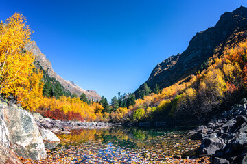 Beau paysage d& 39 automne avec de l& 39 eau verte claire d& 39 un lac de montagne et des arbres avec un feuillage d& 39 automne qui s& 39 y reflète