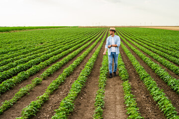 Happy farmer is walking through his growing soybean field.	