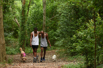 USA, Louisiana, Gay couple with dogs walking in park