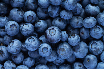 Blueberry or huckleberry pattern and background top view