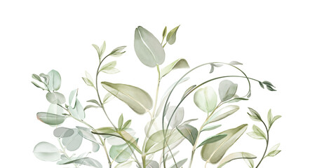 Watercolor branches border. Hand painted green realistic eucalyptus branches. Floral banner in modern boho style. Abstract botanical illustrations isolated on white
