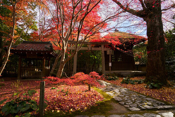 Torii Gate of Rengeji Temple in Kyoto, Japan