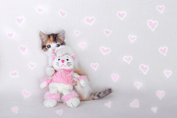 Kitten hugs a little toy pink Kitten. Beautiful Cat on a white background with hearts. Little  Cat posing at camera. Kitten close up. Greeting card with women's day birthday mother's day .