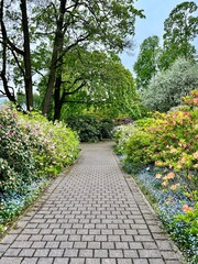 path in the garden