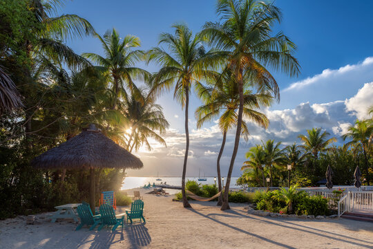 Palm trees at sunset in beautiful tropical beach in paradise island. Summer vacation and tropical beach concept.