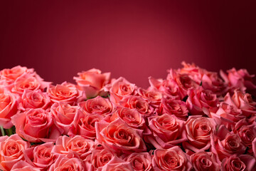赤い背景にピンクのバラの花束