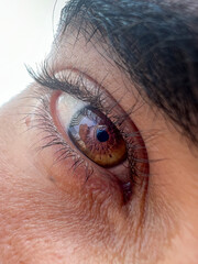 Closeup shot of a glowing brown male eye 