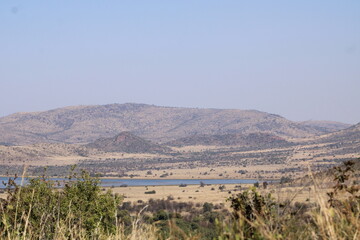 Pilanesburg National Park in South Africa