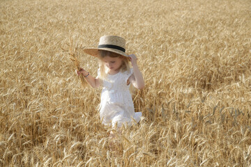 Adorable little girl in white dress in a wheat field