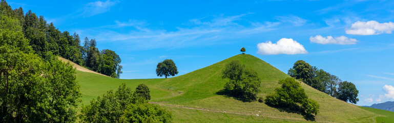 green hill and trees on blue sky