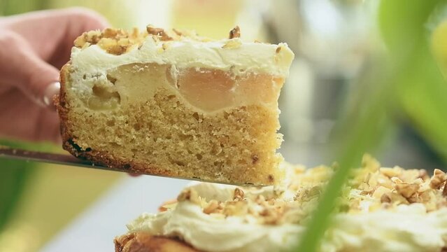 Piece of delicious apple cake.

