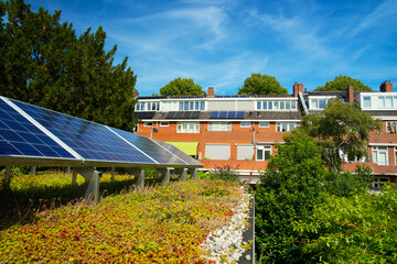 Green roof with flowering sedum plants and a row of blue solar panels for climate adaptation