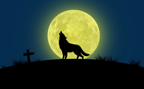 The wolf howling at the big moon