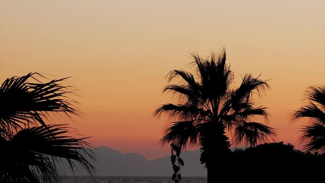Amazing sunset over sea. Burning sky, palm trees, and shining golden waves of Aegean Sea. Summer sunset seascape. Turgutreis, Bodrum, Turkey.