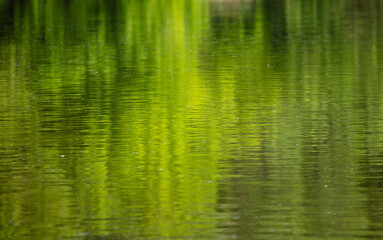 Fototapeta na wymiar The green expanse of water on the reservoir as an abstract background.