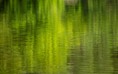 The green expanse of water on the reservoir as an abstract background.