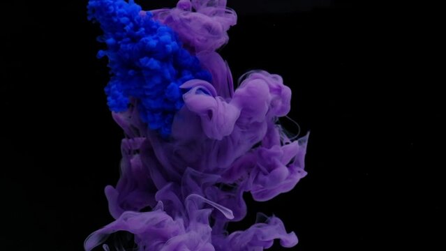 Purple fluid flow into dark and water background , video color artwork colorful fluid