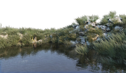 Puddles of rocks and grass on a white background.