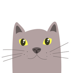 Cute grey cat illustration. Print graphic for T-shirt. Cat face character. A gray kitten Vector illustration for greeting card, invitation.