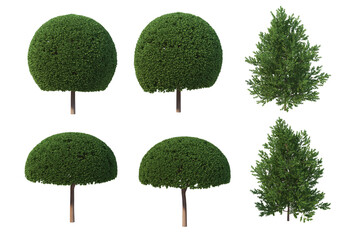 Pine garden decoration on a white background