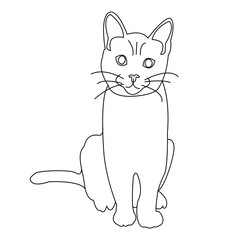 Vector illustration of a cute cat. empty outline isolated on a white background for children's coloring books