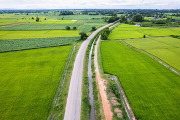 Rural road and canal through rice field in countryside