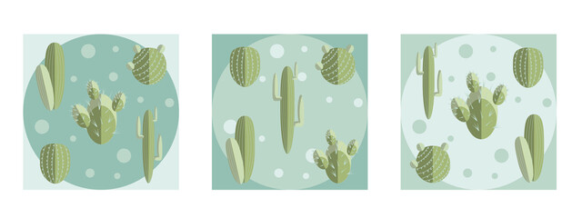Cactus set composition on different colors background