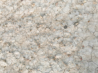 Dry cracked earth. Drought. The dried-up bottom of the lake. Abstract beige background. Copy space