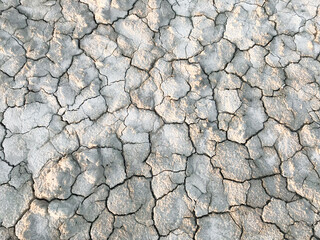 Dry cracked earth. Drought. The dried-up bottom of the lake. Abstract beige background. Copy space