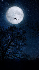 Spooky night image . Mixed media,Night view of tree tops under full moon sky