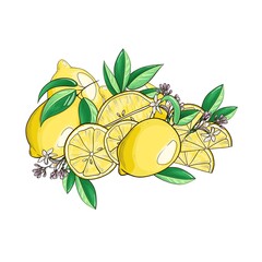 Lemons isolated on white background. 