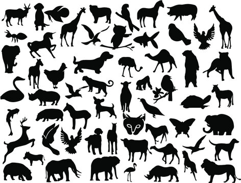 Set of silhouettes of wild and domestic animals: cat, horse, camel, dog, bear, birds, fish, giraffe, rhinoceros, lion, deer, elephant, turtle, rooster
