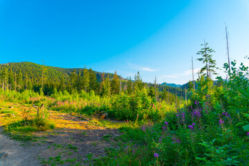 Entrance to the trail in the Tatra Mountains. Beautiful landscape on the trail in the Tatra Mountains in Zakopane. Entrance to Kopieniec, Nosal, Morskie Eye.