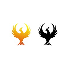 Modern Phoenix Logo Illustration vector design White background