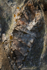 The texture of a quartz vein on a granite rock