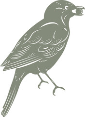 Birds & Blooms Graphics