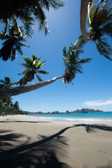 Blue beach with coconut palm trees. tropical beach. Beach vacation. sand and sun