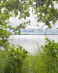 Summer landscape of Finland. Natural frame