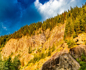 Hwy 1 roadside Mount Revelstoke National Park British Columbia Canada