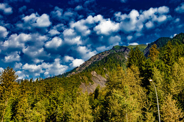 Hwy 1 roadside Mount Revelstoke National Park British Columbia Canada