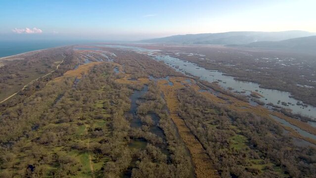 Karacabey Foodplain Forest near Marmara Sea in Bursa Turkey aerial footage (Karacabey Longozu)