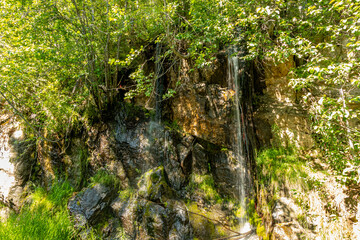 Meadows in the Sky Pkwy National Park, British Columbia, Canada,
