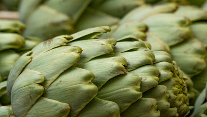 Closeup of an artichoke.